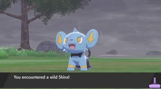 Comment faire évoluer Shinx en Pokemon Sword and Shield, emplacements et statistiques