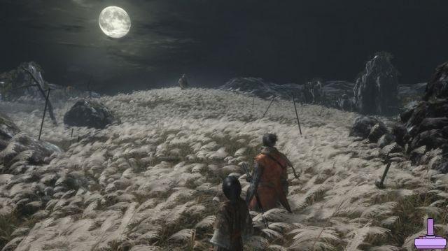 Sekiro Shadows Die Twice: How to get all the endings