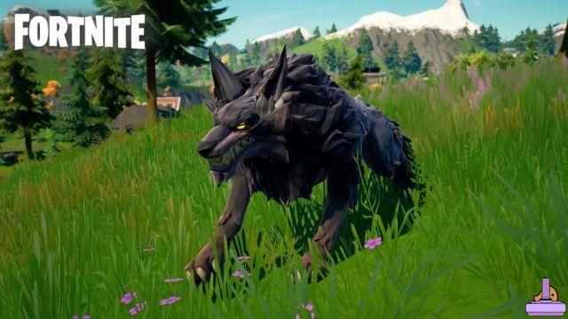 Guide Fortnite Saison 6: Comment apprivoiser les loups